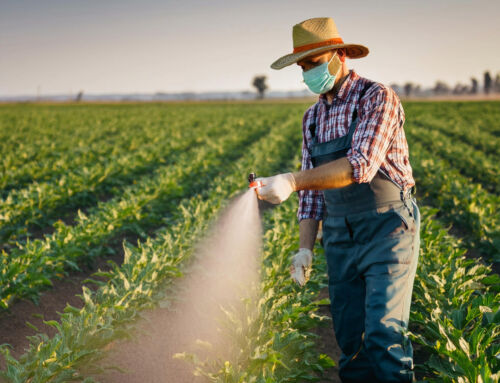 Tierra de Diatomeas: Uso para la Mejora del Suelo Agrícola